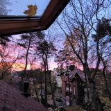 Гостевой дом Фламинго, фото гостя