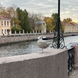 Санкт-Петербург, фото отдыхающего в октябре