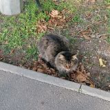 Махачкала, фото отдыхающего в октябре