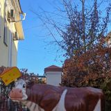 Поволжье, фото отдыхающего в ноябре