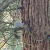 Краснодарский край, фото отдыхающего в ноябре