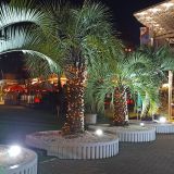 Краснодарский край, фото отдыхающего в ноябре