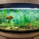 Гостиница Которосль, фото гостя