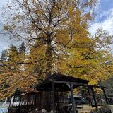 Отель Green Park, фото гостя