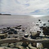 Гостевой дом Корона, фото гостя