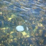 Отель Золотая бухта, фото гостя