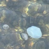 Отель Золотая бухта, фото гостя