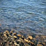 Отель Золотая бухта, фото гостя