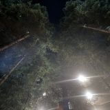 Отель Dombay Winter Hall, фото гостя