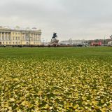 Отель М-Отель, фото гостя