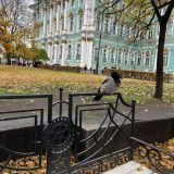 Отель М-Отель, фото гостя