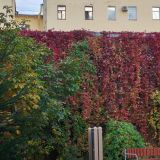 Мини-отель New Day, фото гостя