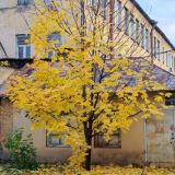 Мини-отель New Day, фото гостя