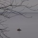 Отель Кантри, фото гостя