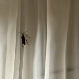 Отель Hampton by Hilton Brest, фото гостя