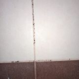 Гостевой дом Корона, фото гостя