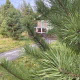 Экопарк Поляны, фото гостя