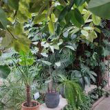 Санкт-Петербург, фото отдыхающего в октябре