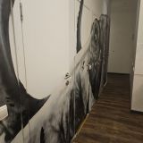 Меблированные комнаты Абрикос, фото гостя