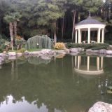 Отель Европа, фото гостя