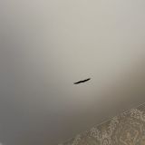 Гостиница Nova, фото гостя