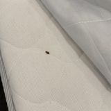 Гостиница Nova, фото гостя