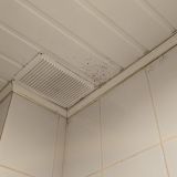 Круиз Румянцево, фото гостя