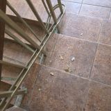 Гостиница Апельсин, фото гостя