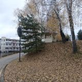 Центральная Россия, фото отдыхающего в октябре