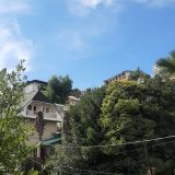 Частный дом Бамбуковый рай, фото гостя