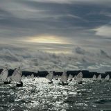 Отель Оскар, фото гостя