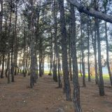 Отель Оскар, фото гостя