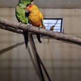 База отдыха Иволга, фото гостя