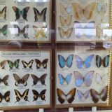 База отдыха Иволга, фото гостя