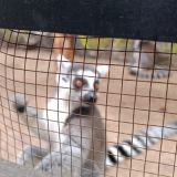 База отдыха Иволга, фото гостя