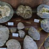 База отдыха Иволга, фото гостя