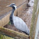 База отдыха Иволга, фото гостя