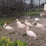 База отдыха Иволга, фото гостя