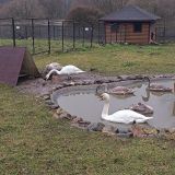 База отдыха Иволга, фото гостя