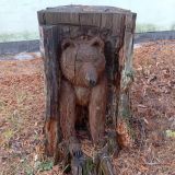 на территории