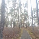 дорожка для оздоровительной ходьбы