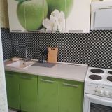 Апартаменты Экодомик, фото гостя