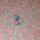 Orlovski Detox and Spa, фото гостя