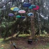 Парк-Отель VE art resort, фото гостя