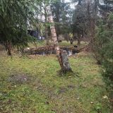 Парк-Отель VE art resort, фото гостя