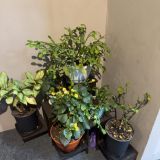 Отель ShelterZ Электрозаводская, фото гостя