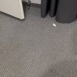 Отель Домус, фото гостя