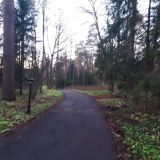 Санаторий Введенское, фото гостя