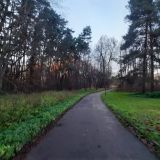 Санаторий Введенское, фото гостя