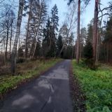 Санаторий Введенское, фото гостя